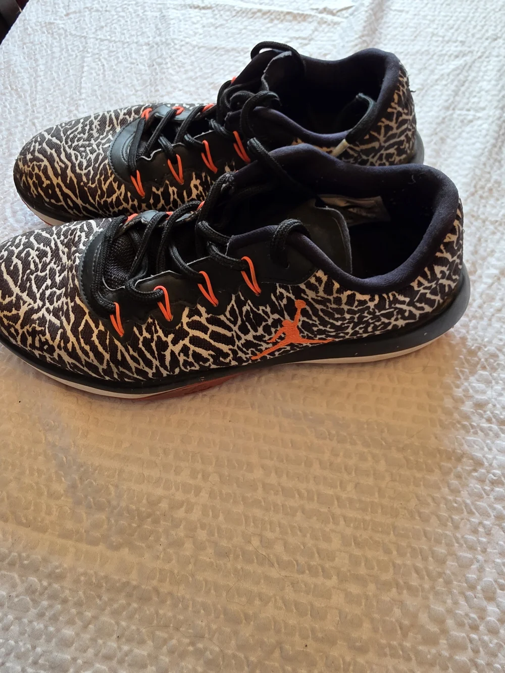 Nike Air Jordan Trainer 1 Low 